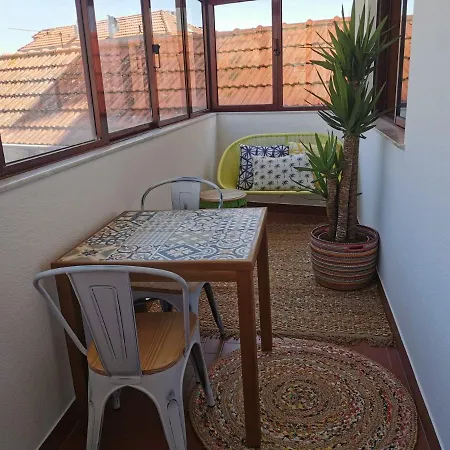 Coronel Pacheco 42 - Apartment *