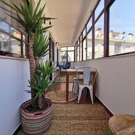 Coronel Pacheco 42 - *